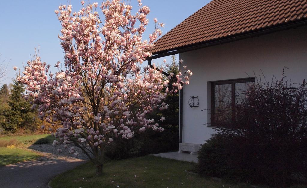 Apartmany Pod Kozakovem Tatobity Экстерьер фото